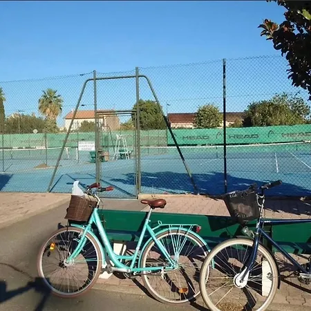 La Terre Du Midi A * Sérignan