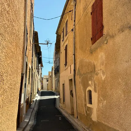 La Terre Du Midi A شقة