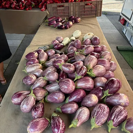 La Terre Du Midi A شقة Sérignan