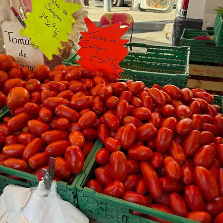 La Terre Du Midi A شقة Sérignan